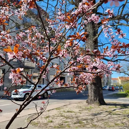 Visit Baltic - Kwartal Rozy Wiatrow Tola Z Parkingiem * 슈비노우이스쳬